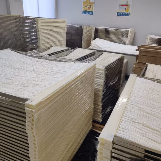 Filtro acqua Bioreattore Mbr a membrana a fibra cava PVDF